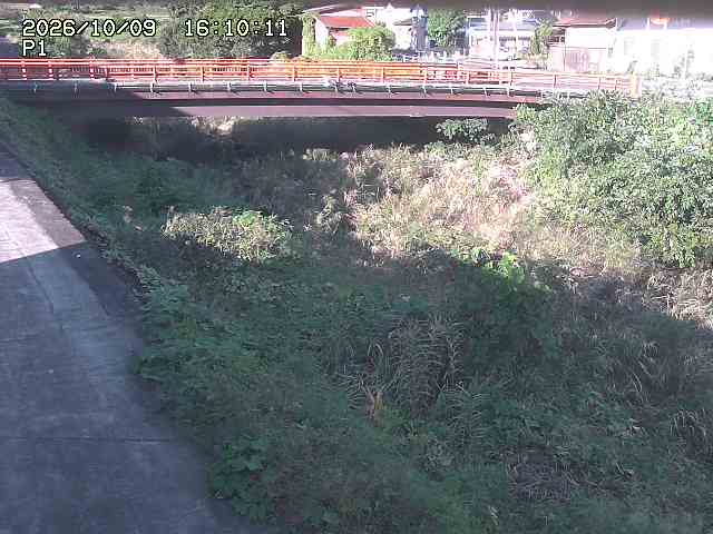 細見川１2026/10/09 20:00:00