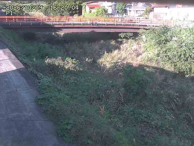 細見川１2026/10/09 20:00:00