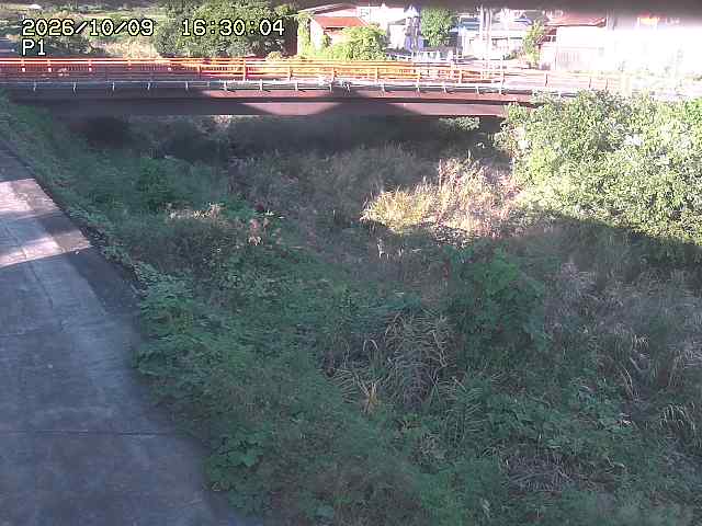 細見川１2026/10/09 20:00:00