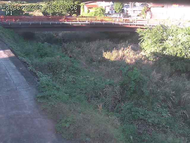 細見川１2026/10/09 20:00:00