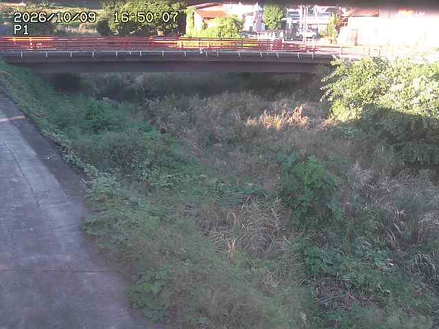 細見川１2026/10/09 20:00:00