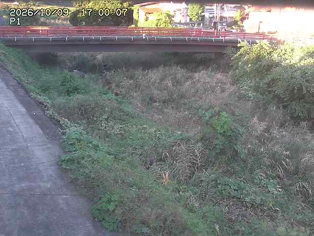 細見川１2026/10/09 20:00:00