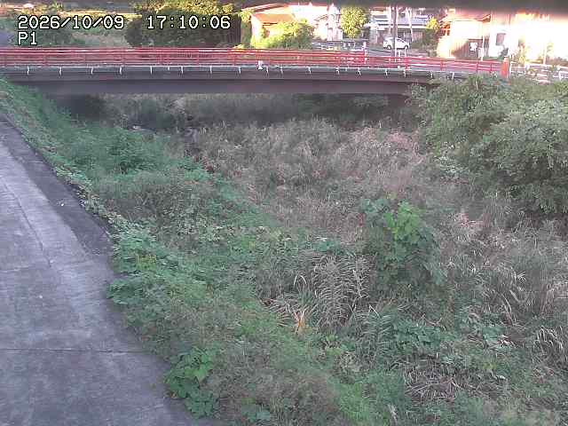 細見川１2026/10/09 20:00:00