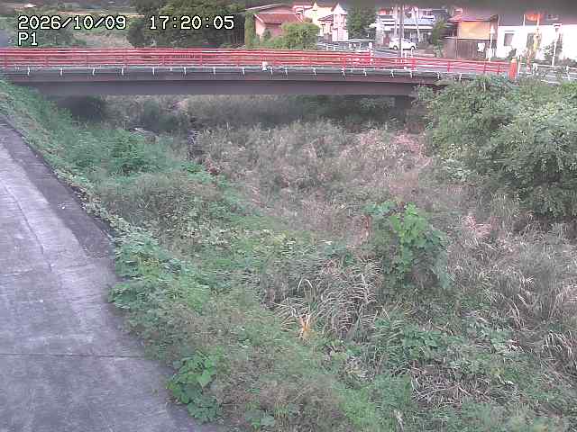 細見川１2026/10/09 20:00:00