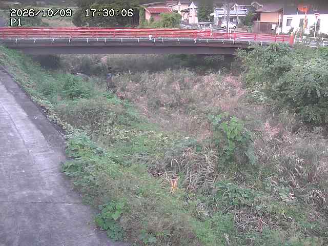 細見川１2026/10/09 20:00:00