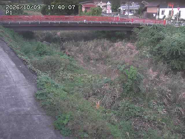 細見川１2026/10/09 20:00:00