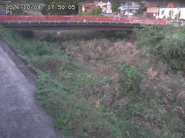 細見川１2026/10/09 20:00:00
