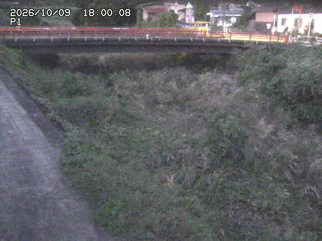 細見川１2026/10/09 20:00:00