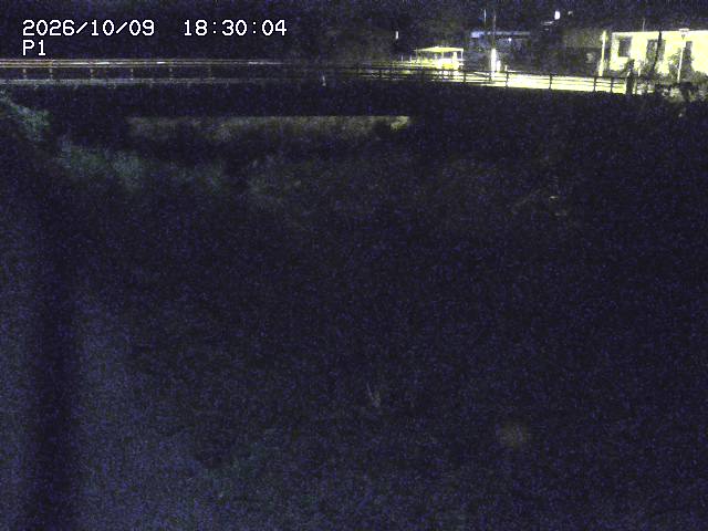 細見川１2026/10/09 20:00:00