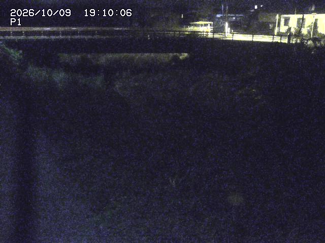 細見川１2026/10/09 20:00:00