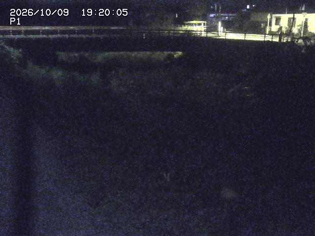 細見川１2026/10/09 20:00:00