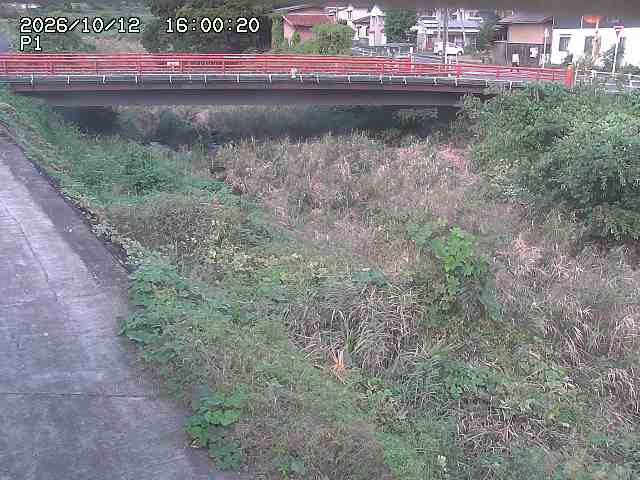 細見川１2026/10/13 14:30:00