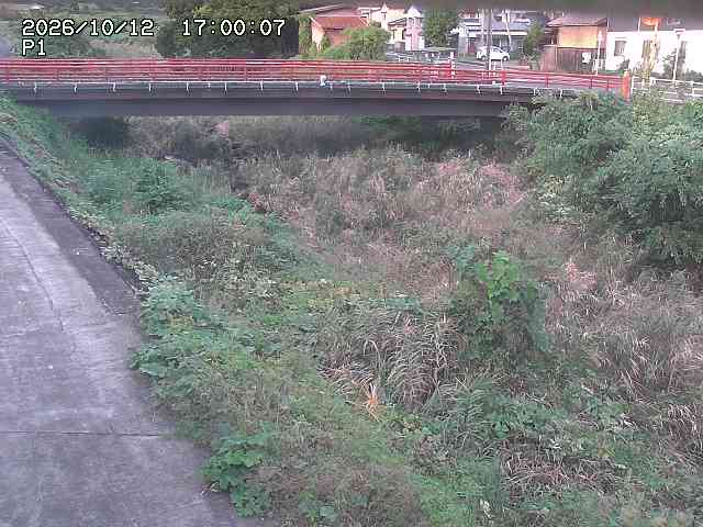 細見川１2026/10/13 14:30:00