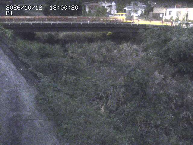 細見川１2026/10/13 14:30:00