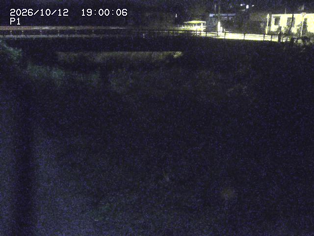 細見川１2026/10/13 14:30:00