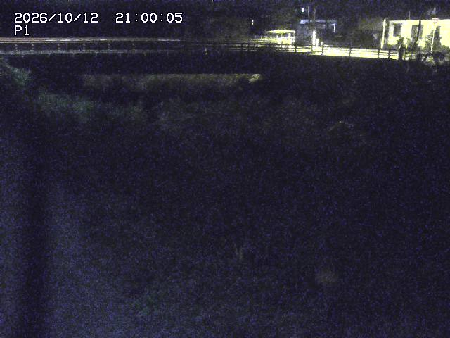 細見川１2026/10/13 14:30:00