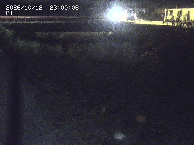 細見川１2026/10/13 14:30:00