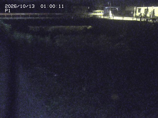 細見川１2026/10/13 14:30:00