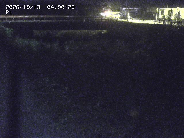 細見川１2026/10/13 14:30:00