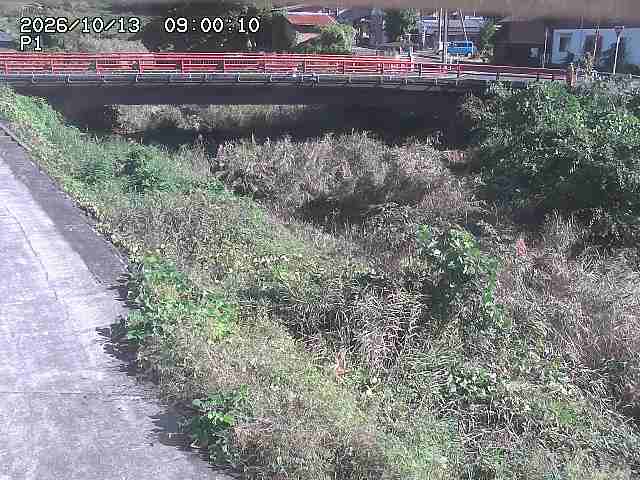 細見川１2026/10/13 14:30:00