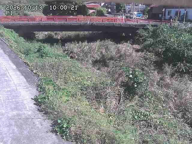 細見川１2026/10/13 14:30:00