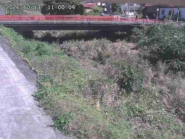 細見川１2026/10/13 14:30:00
