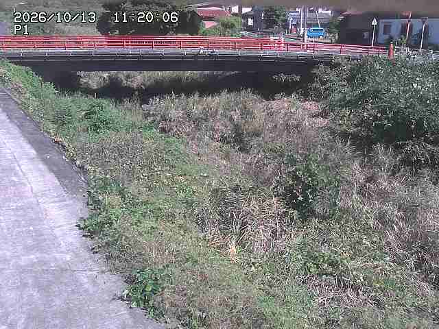 細見川１2026/10/13 14:30:00