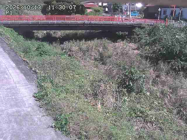 細見川１2026/10/13 14:30:00