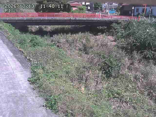 細見川１2026/10/13 14:30:00