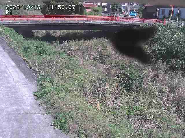 細見川１2026/10/13 14:30:00