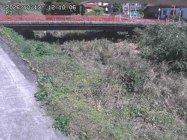 細見川１2026/10/13 14:30:00