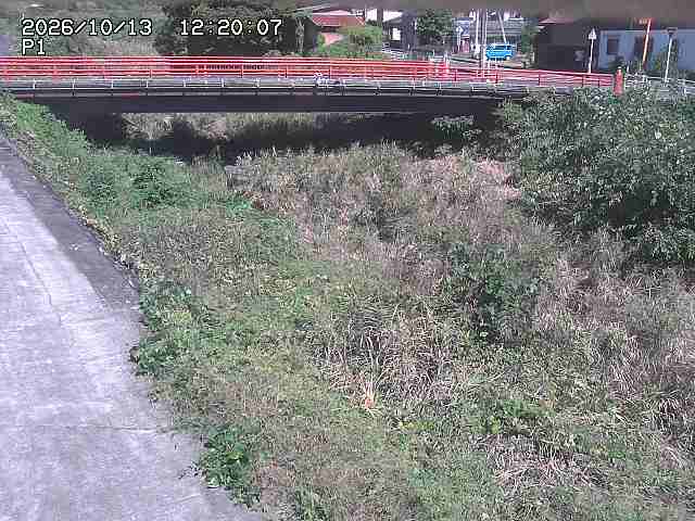細見川１2026/10/13 14:30:00