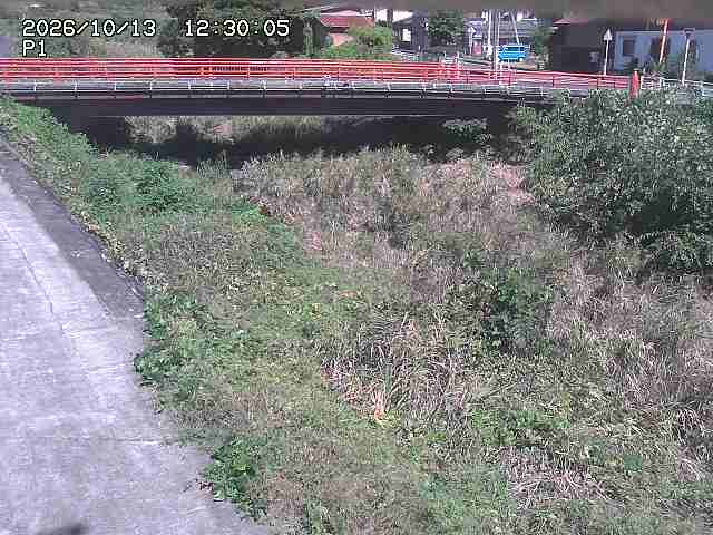 細見川１2026/10/13 14:30:00