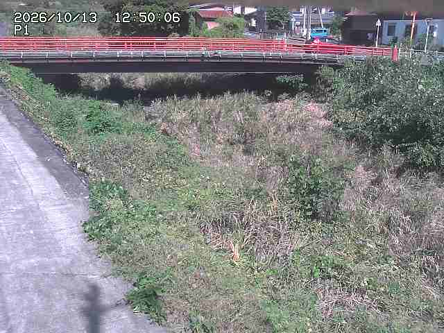 細見川１2026/10/13 14:30:00