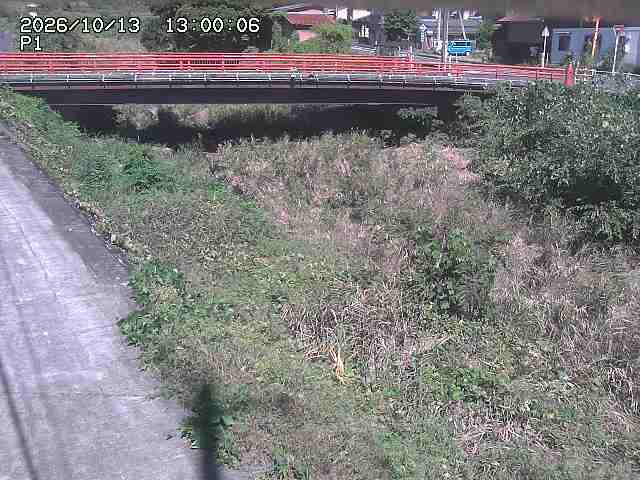 細見川１2026/10/13 14:30:00