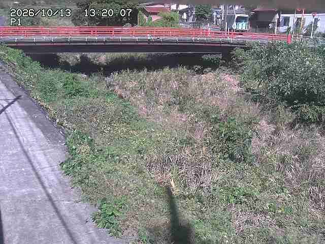 細見川１2026/10/13 14:30:00