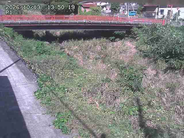 細見川１2026/10/13 14:30:00