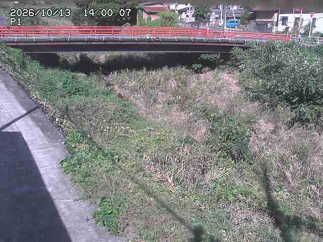 細見川１2026/10/13 14:30:00
