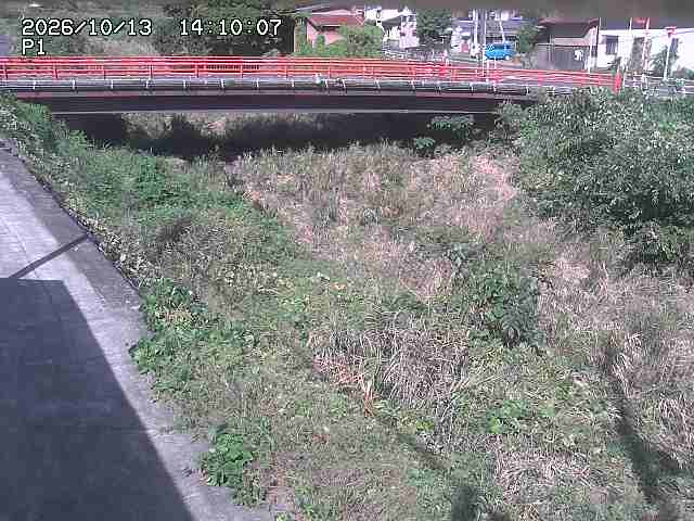 細見川１2026/10/13 14:30:00