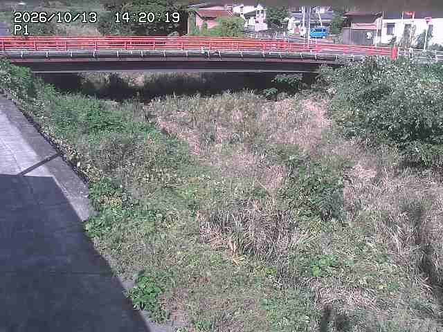 細見川１2026/10/13 14:30:00