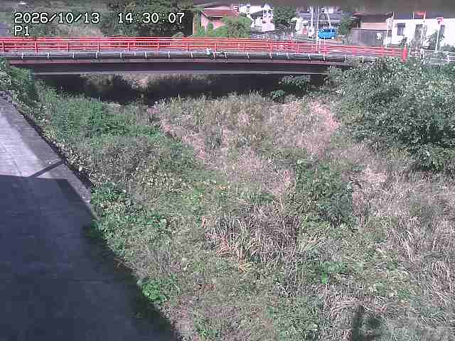 細見川１2026/10/13 14:30:00