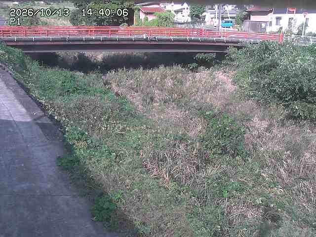 細見川１2026/10/13 14:30:00