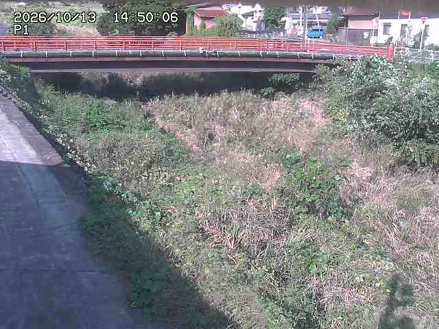 細見川１2026/10/13 14:30:00