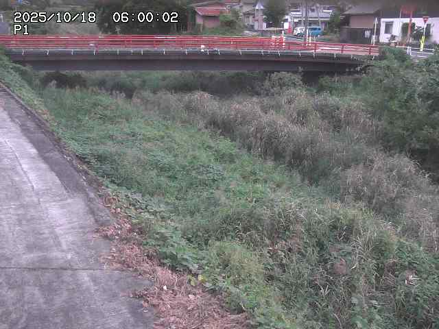 細見川１2025/10/18 20:30:00
