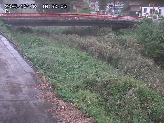 細見川１2025/10/18 20:30:00