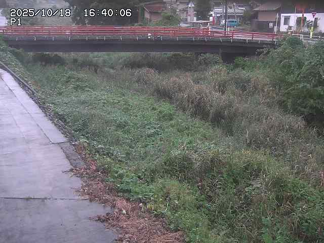細見川１2025/10/18 20:30:00