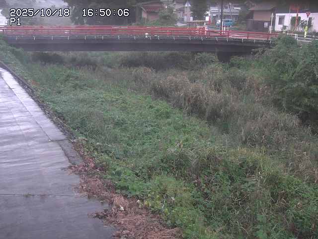 細見川１2025/10/18 20:30:00