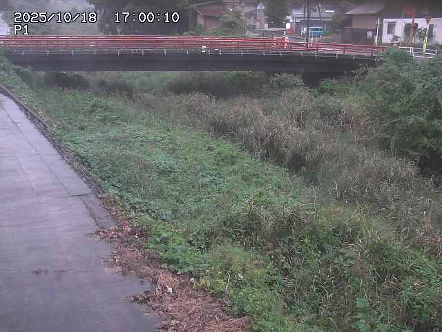 細見川１2025/10/18 20:30:00