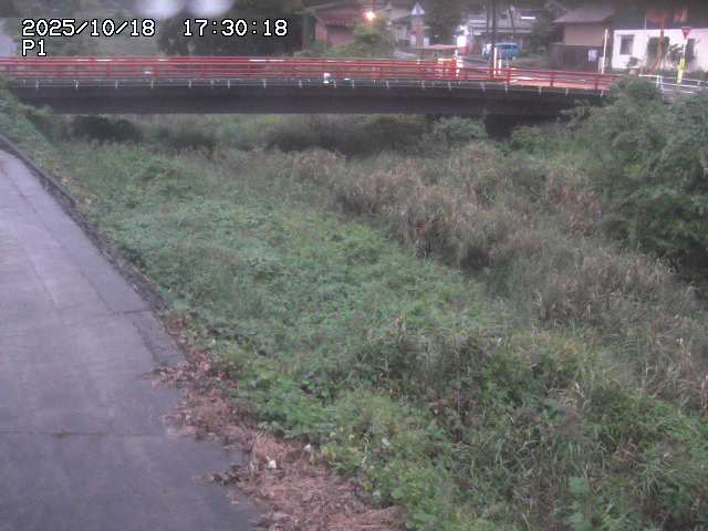 細見川１2025/10/18 20:30:00
