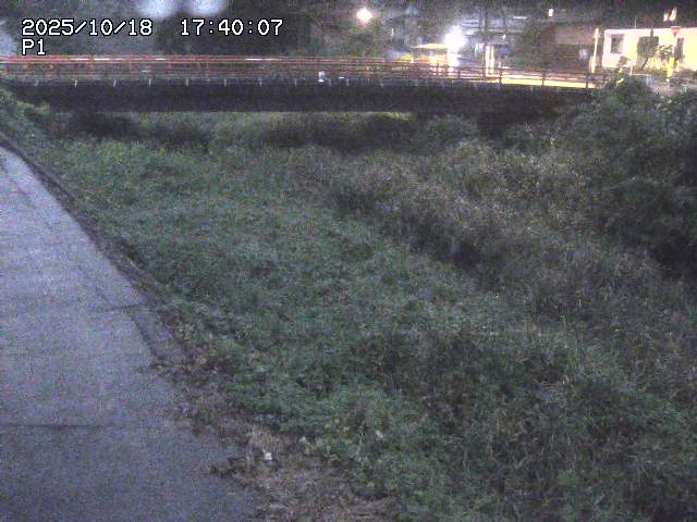 細見川１2025/10/18 20:30:00